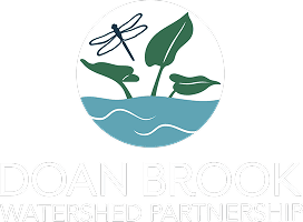 DBWP Company Logo