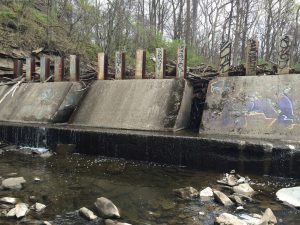 Grant Money Lined Up to Study Removing Trash Rack