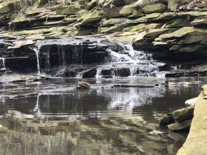 2019 Rocks & Waters Videos