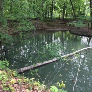 Lake Erie Estuaries Video Tour