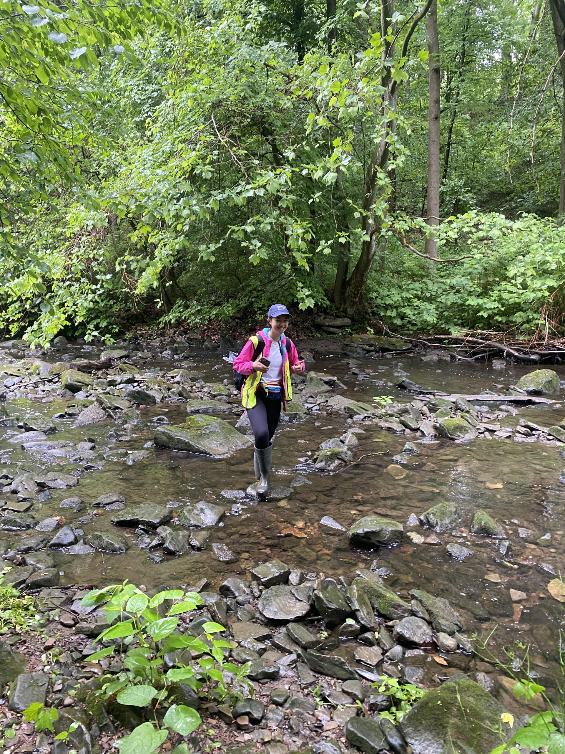 emily in brook