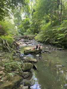 Nature Appreciation