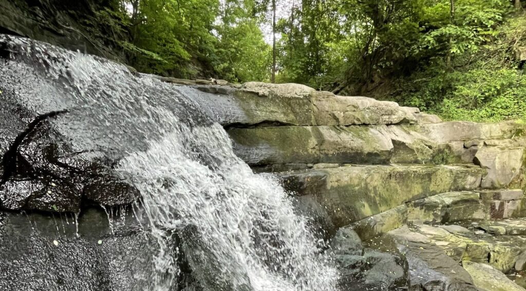 Doan Brook Annual Watershed Symposium