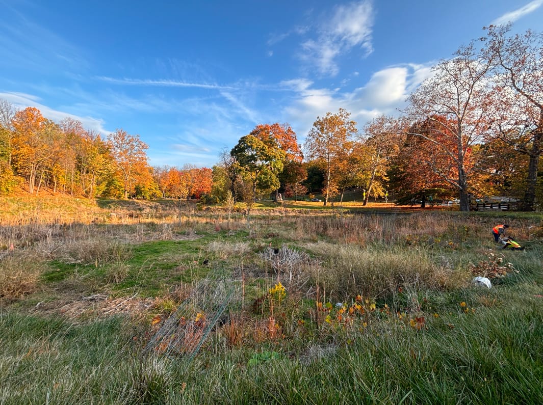 Sowinski Park Restoration Project