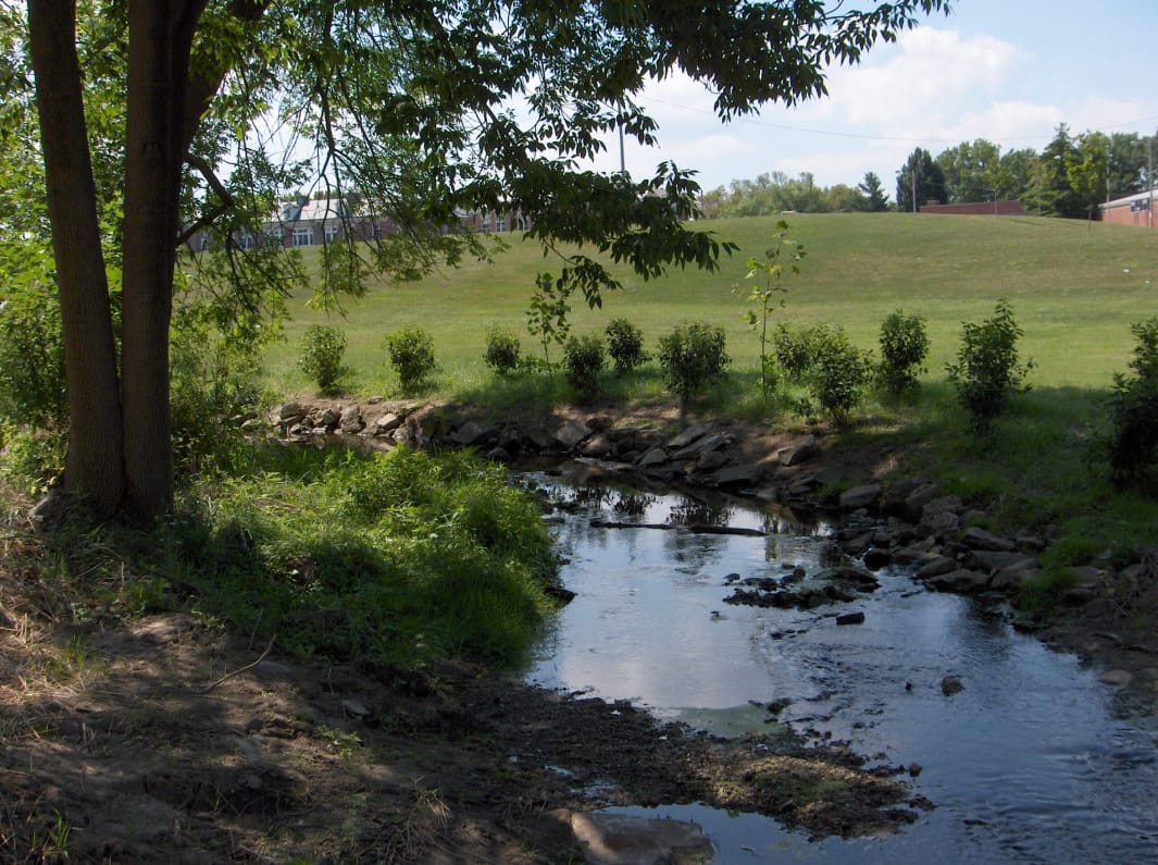 South Branch Corridor Expansion