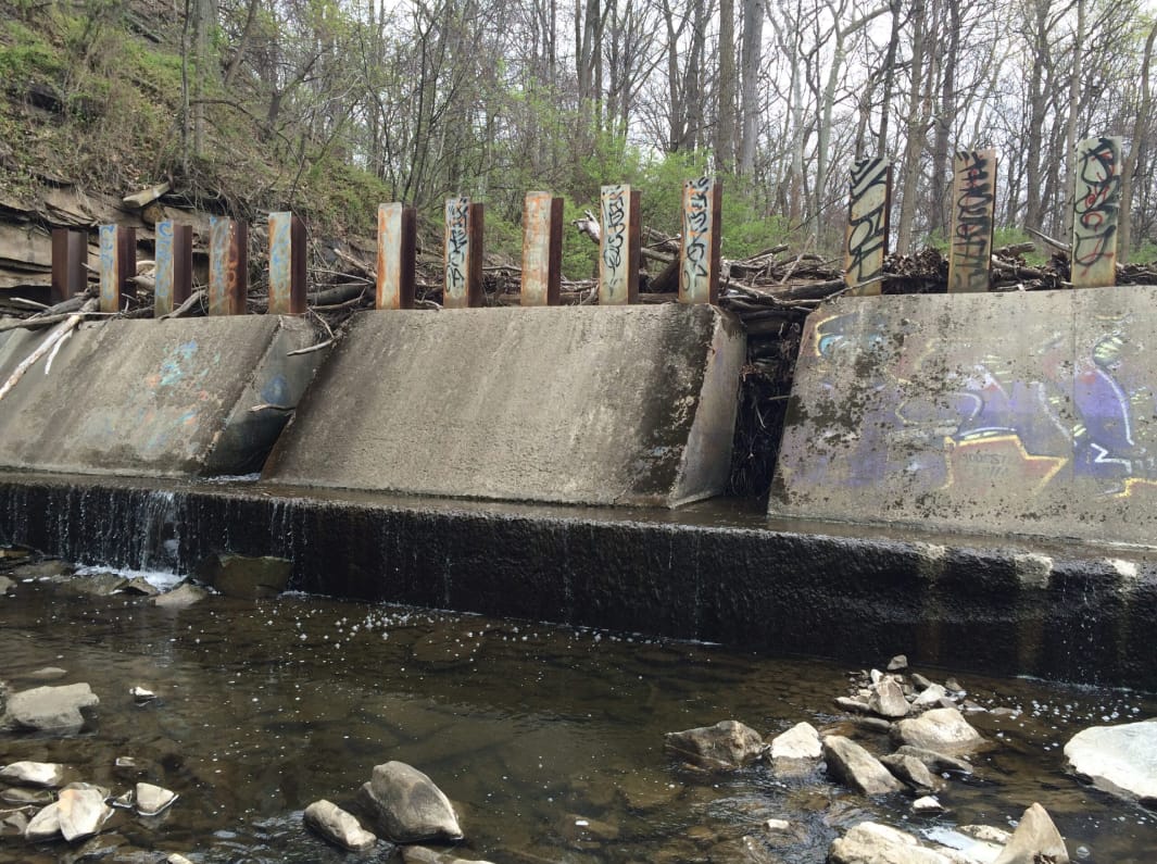 Debris Rack Study Ongoing