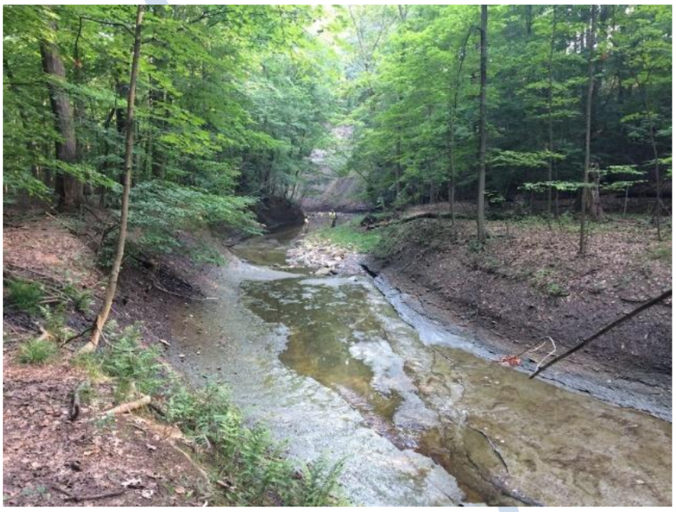 Earth Day Stream Sweep