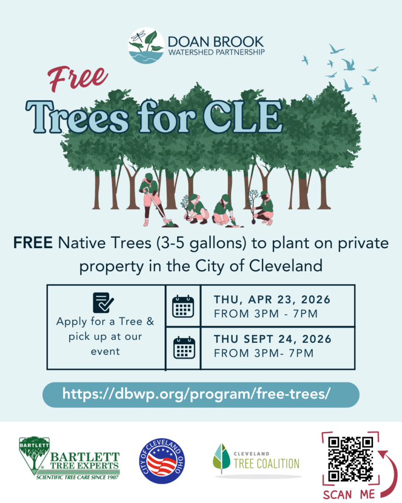 Friends of Doan Brook Gorge