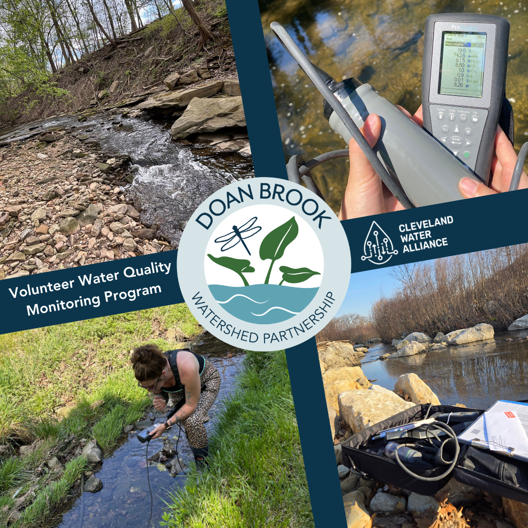 Doan Brook Volunteer Training & Water Quality Demonstration at Lower Lake