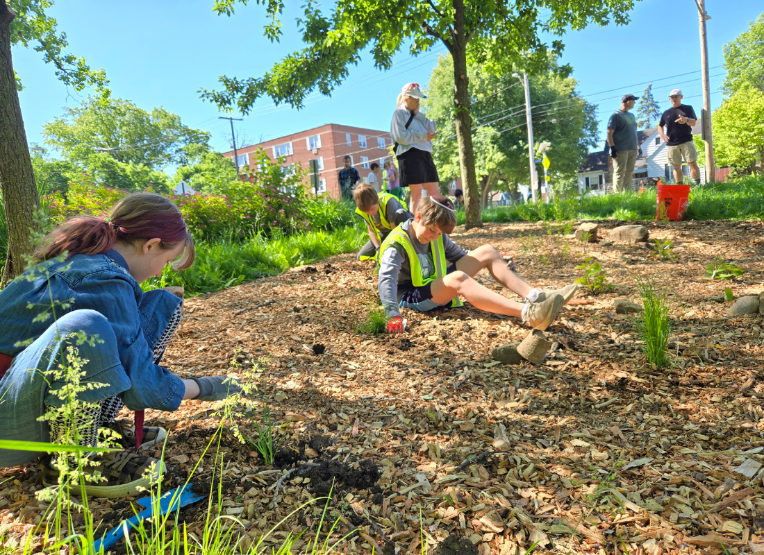 Rain Garden Installation