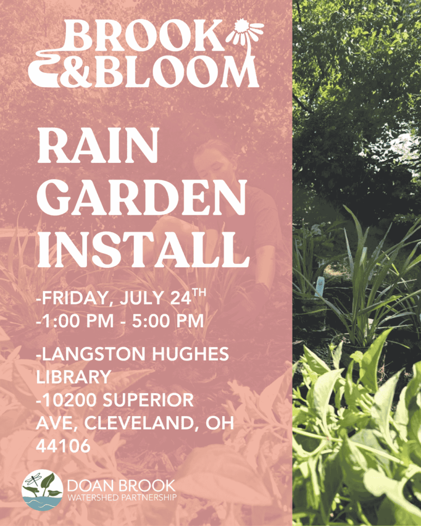 Langston Hughes Library Rain Garden Installation