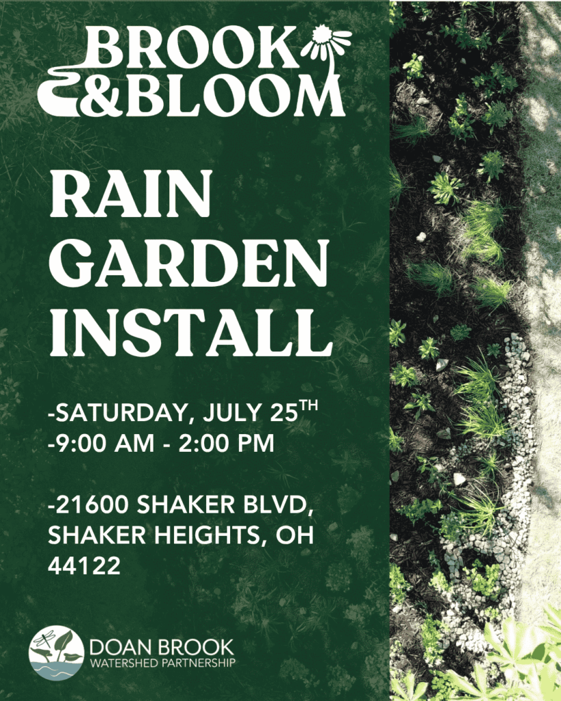 Rain Garden Installation at the Unitarian Universalist Congregation of Cleveland