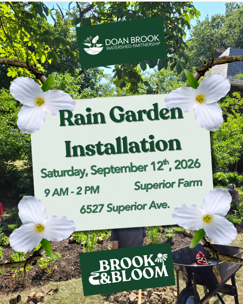 Food Strong Cleveland Rain Garden Installation