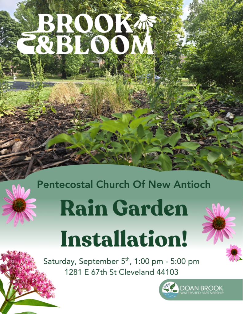 Pentecostal Church Of New Antioch Brook and Bloom Rain Garden Installation