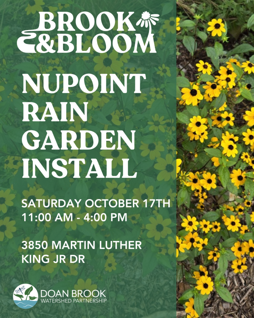 NuPoint Rain Garden Installation